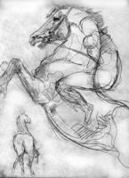 Набросок - лошадь,
бумага, карандаш,
19х14 см.
