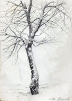"Зимнее дерево", . Бумага, карандаш.
29х21см