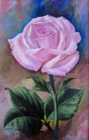 Розовая роза, холст, масло, 30 х 62 см.