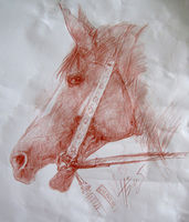 Зарисовка головы лошади по памяти, сангина,40 х 30 см.