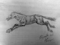  Скачущий конь, бумага , карандаш, 21 х 29 см.